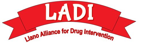 LADI logo long